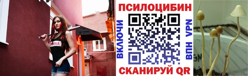 Псилоцибиновые грибы прущие грибы  Плавск 